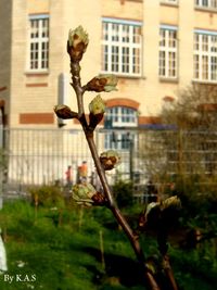 DSC00080